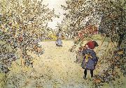 Carl Larsson Apple Harvest painting